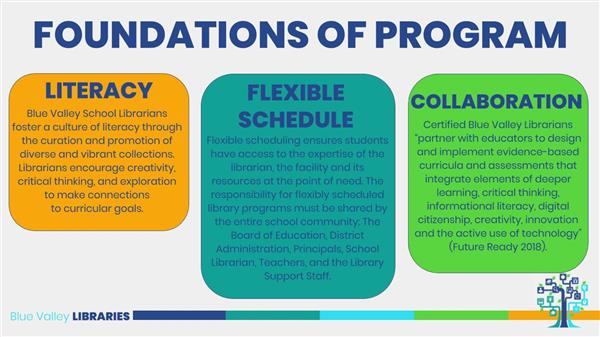 Foundations of the BV Libraries Program 